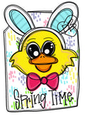 Easter Chick Door Hanger - Easter door Decor - Bunny wreath - hand painted personalized door hanger